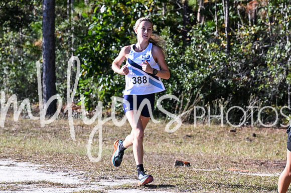 DSC_7224_edited-1