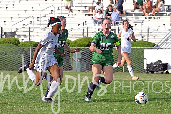 DSC_6342-1_edited-1