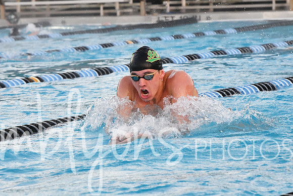 DSC_5987_edited-111