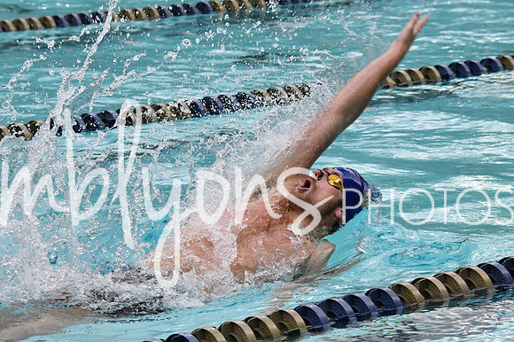 DSC_3600_edited-1