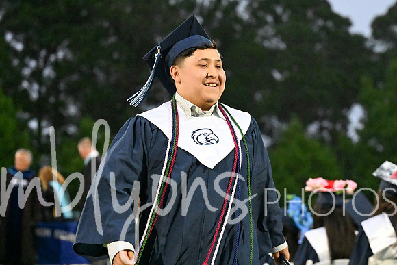 DSC_7553_edited-1