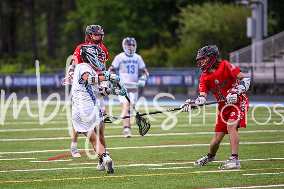 DSC_8366-1_edited-1