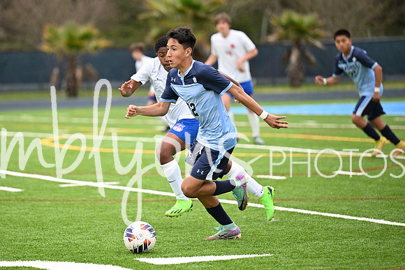 DSC_6736_edited-1