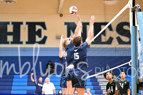 DSC_8610-1_edited-1