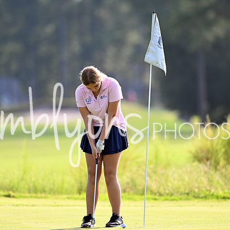 DSC_5472-1_edited-1