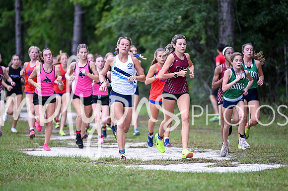DSC_9878_edited-1