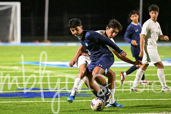 DSC_2868-1_edited-1