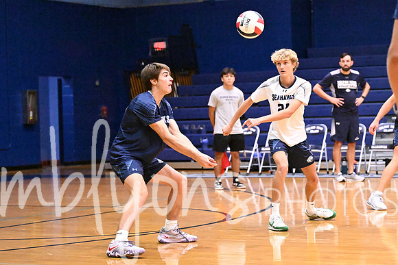DSC_5419_edited-1