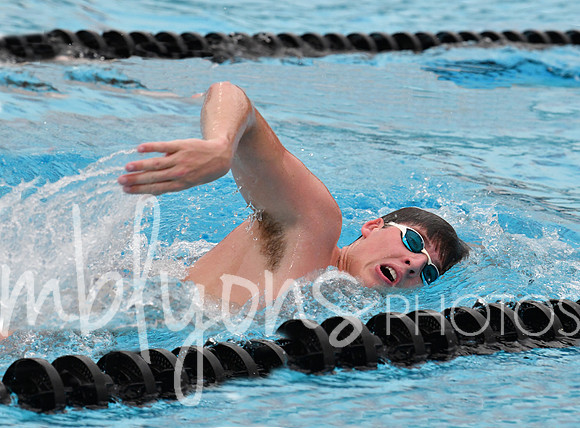 DSC_4492-11_edited-1