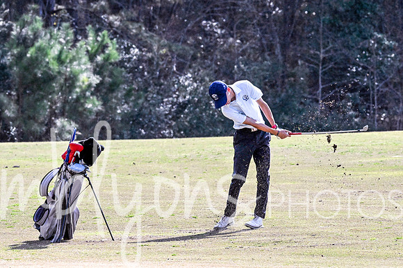 DSC_5731-1_edited-1
