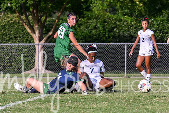 DSC_6374-1_edited-1