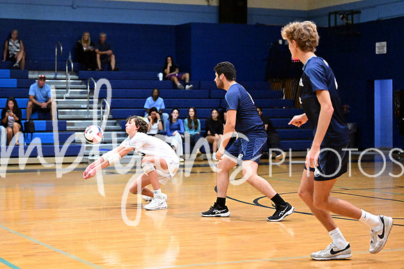 DSC_4104-1_edited-1