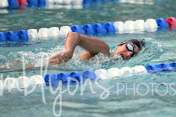 DSC_1734-1_edited-1