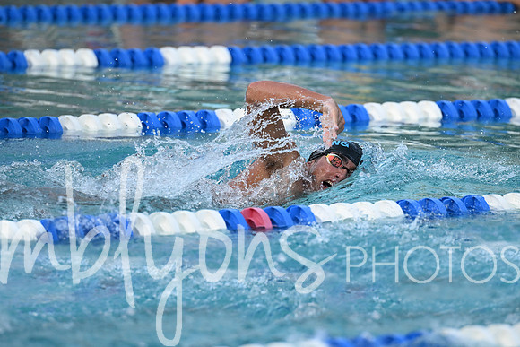 DSC_1453-1_edited-1