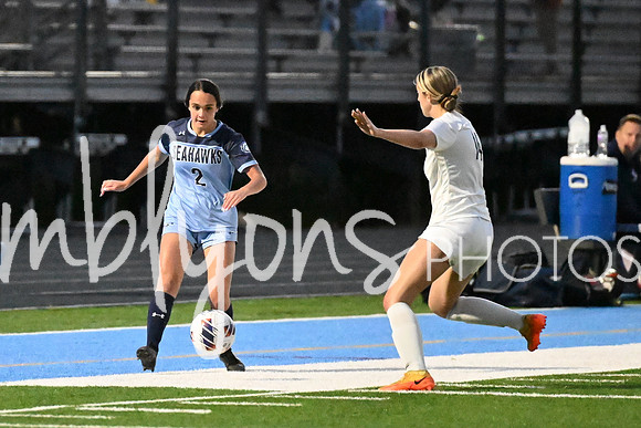DSC_7853_edited-1