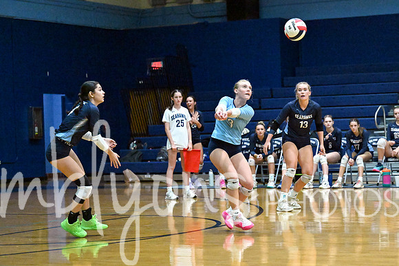 DSC_9597-1_edited-1