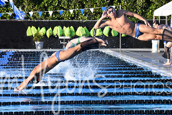 DSC_5794-1_edited-1