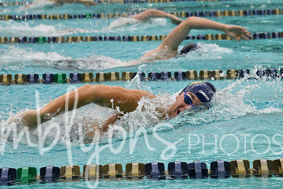 DSC_1943_edited-1