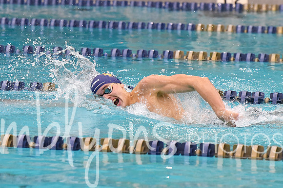 DSC_1898-1_edited-1