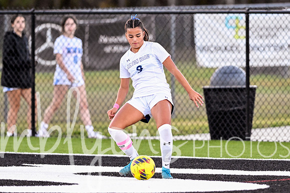 DSC_6708-1_edited-1