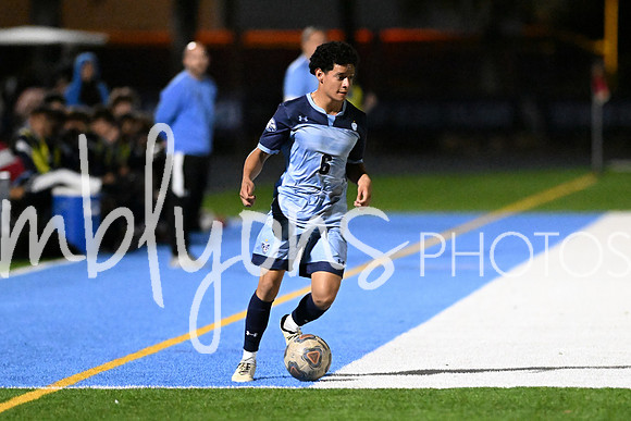 DSC_4771-1_edited-1