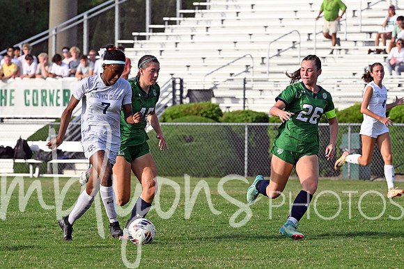 DSC_6339-1_edited-1