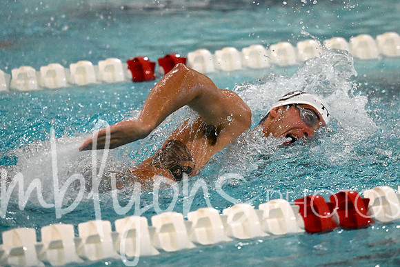 DSC_6208-1_edited-1