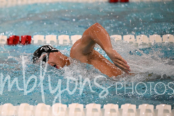 DSC_6281_edited-1