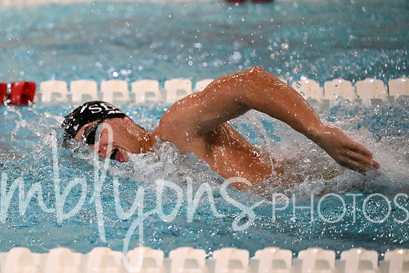 DSC_6280-1_edited-1