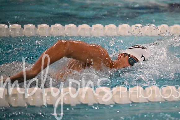 DSC_6388-1_edited-1