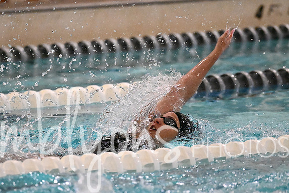 DSC_6508-1_edited-1