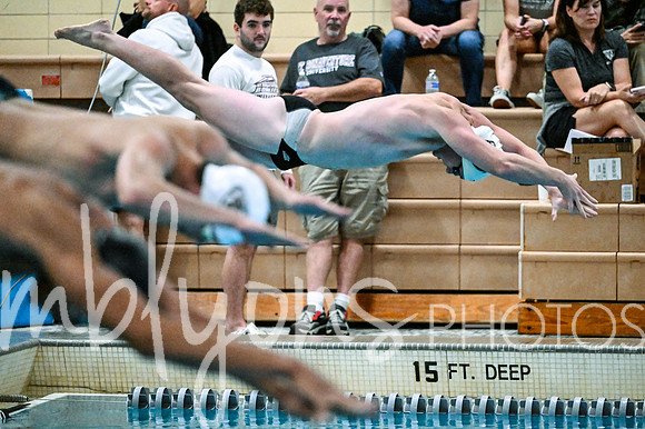 DSC_6930-1_edited-1