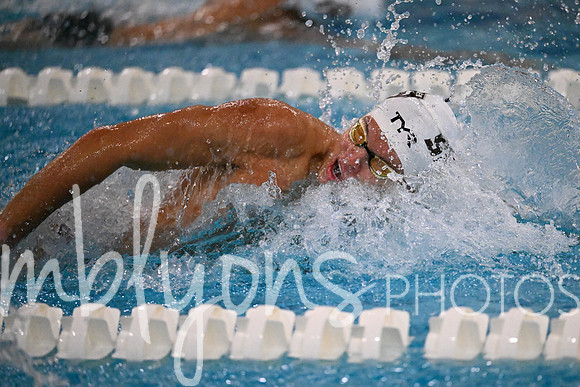DSC_6972_edited-1