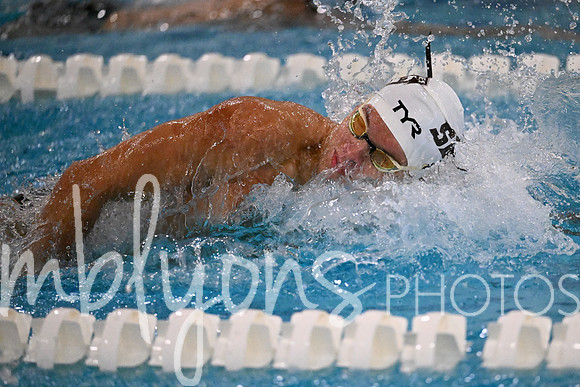 DSC_6971_edited-1