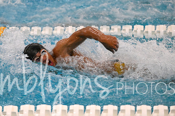 DSC_7000-1_edited-1