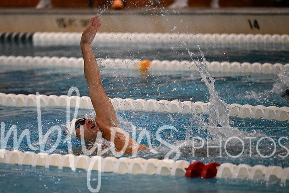 DSC_7133_edited-1