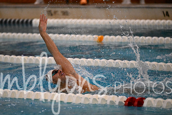 DSC_7134_edited-1