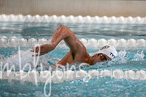 DSC_7319-1_edited-1