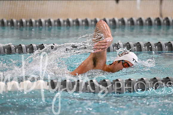 DSC_7328-1_edited-1