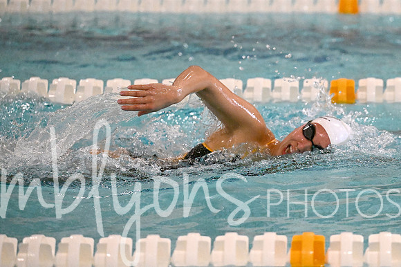 DSC_7334-1_edited-1
