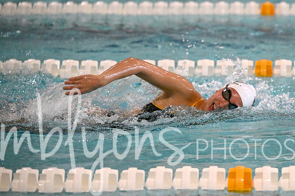 DSC_7333-1_edited-1