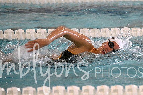 DSC_7340-1_edited-1