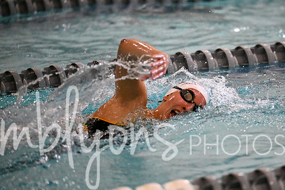 DSC_7351_edited-1