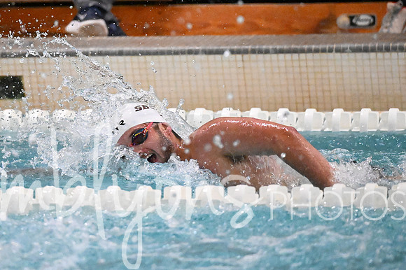 DSC_7433-1_edited-1