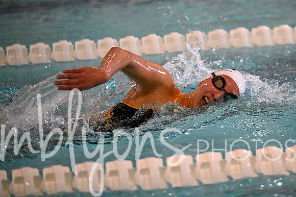 DSC_7456_edited-1