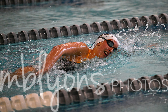 DSC_7463_edited-1