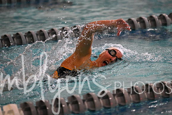 DSC_7467_edited-1