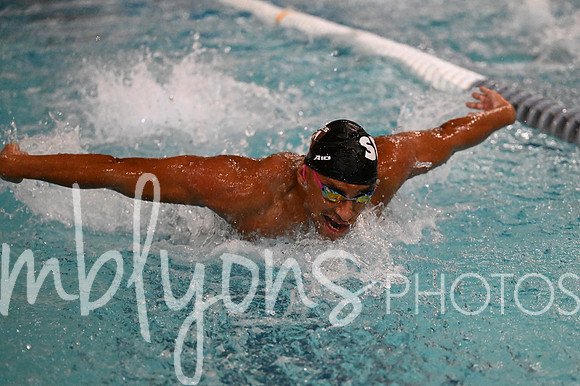 DSC_7590-1_edited-1