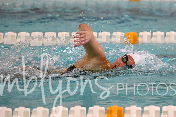 DSC_7335-1_edited-1