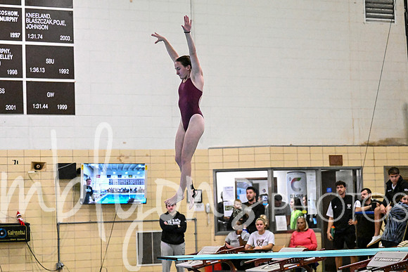 DSC_7893-1_edited-1